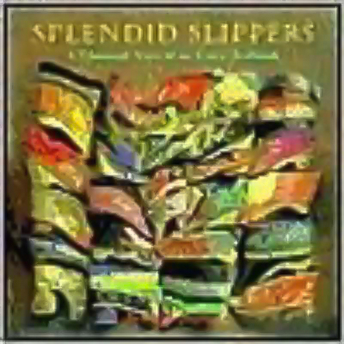 Splendid Slippers: A Thousand Years of an Erotic Tradition Hardcover Book