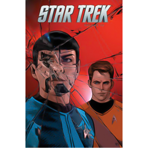 Star Trek, Volume 12 Mike Johnson Tony Shasteen Paperback Book