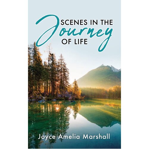 Scenes in the Journey of Life  - Joyce Amelia Marshall