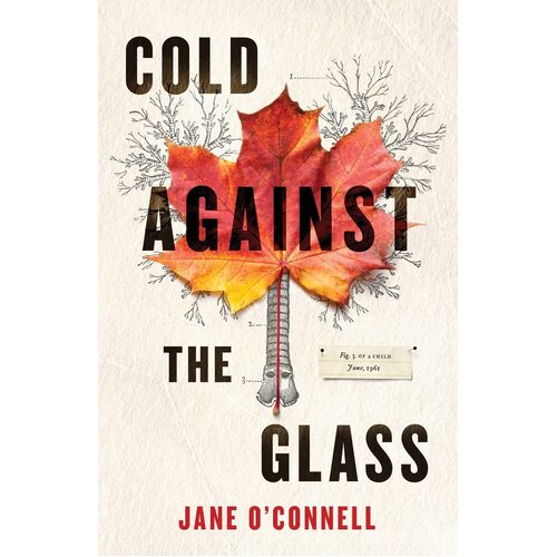 Cold Against the Glass - Jane OConnell