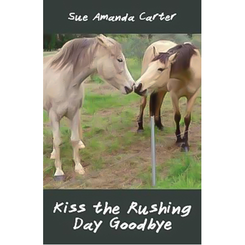 Kiss the Rushing Day Goodbye Sue Carter Paperback Book