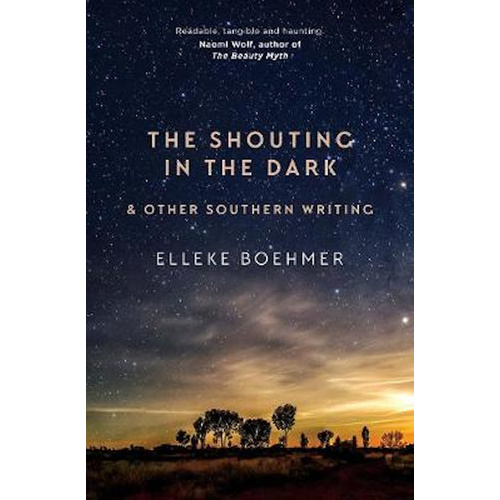 The Shouting in the Dark - Fiction Book