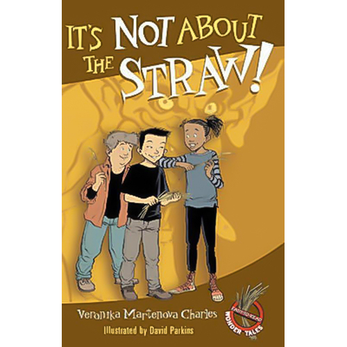 It&#39;s Not about the Straw! Paperback Book