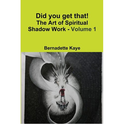 Did you get that! The Art of Spiritual Shadow Work - Volume 1 - Bernadette Kaye