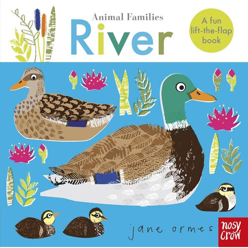Animal Families: River - Jane Ormes