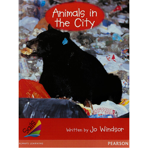 Animals in the City -Jo Windsor Paperback Children&#39;s Book