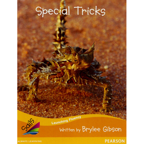 Special Tricks: Sails Additional Fluency - Orange - Paperback Children&#39;s Book