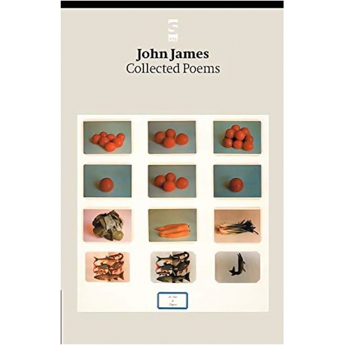 Collected Poems: Salt Modern Poets S. -James, John Poetry Book
