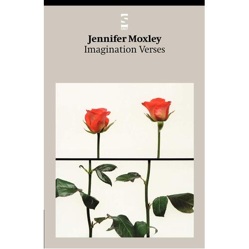 Imagination Verses - Jennifer Moxley