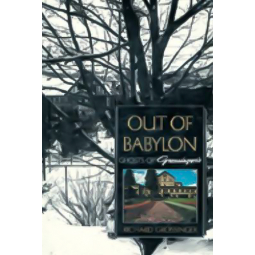 Out of Babylon Richard Grossinger Paperback Novel Book