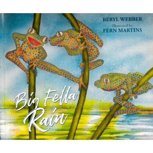 Big Fella Rain -Beryl Webber,Fern Martins Children&#39;s Book