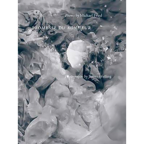 Promesse Du Bonheur James Welling Michael Fried Paperback Book