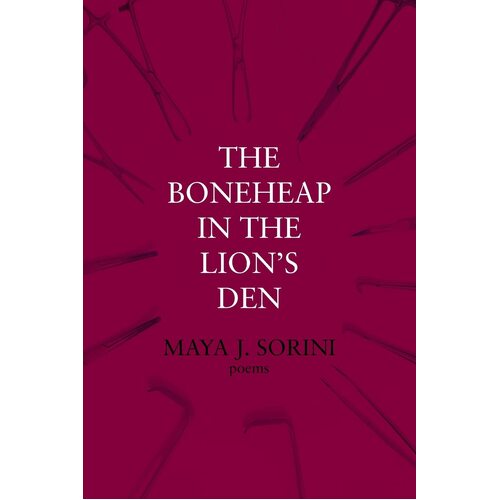 The Boneheap in the Lions Den - Maya J Sorini