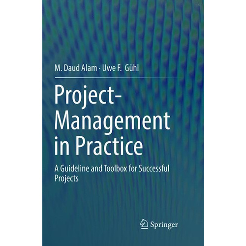 Project-Management in Practice: A Guideline and Toolbox for Successful Projects Book