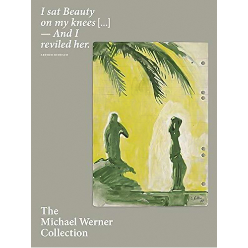 The Michael Werner Collection  Novel Novel Book
