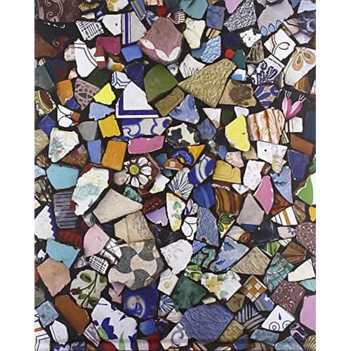 The New Antiquity -Tim Davis,Francine Prose Photography Book