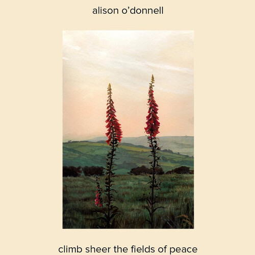 Alison O&#39;Donnell - Climb Sheer The Fields Of Peace MUSIC CD NEW SEALED