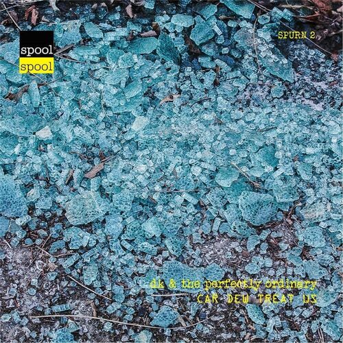 Car Dew Treat Us - Dk &amp; the Perfectly Ordinary CD