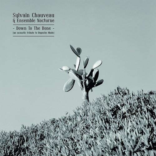 Down To The Bone An Acoustic Tribute To Depeche Mode - Sylvain Chauveau CD