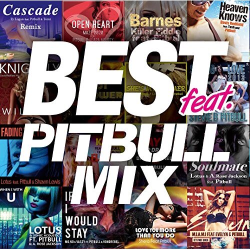 Best (Pitbull Mix) -Various Artists CD
