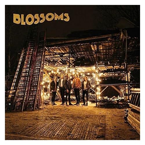 Blossoms Cddvdbonustrack - BLOSSOMS CD