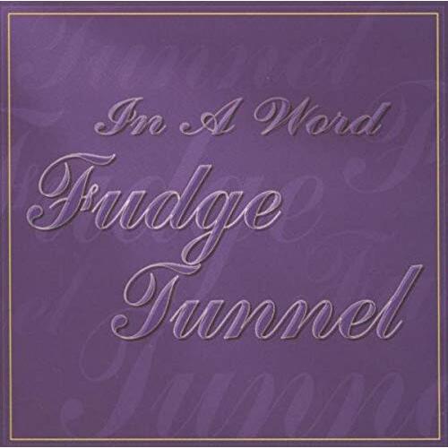 In A Word -Fudge Tunnel CD