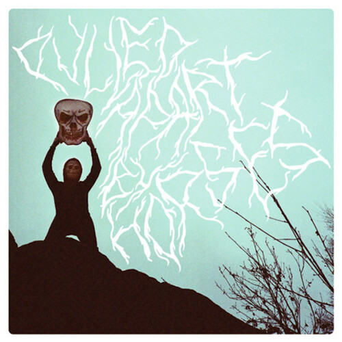 Pulled Apart By Horses - Pulled Apart By Horses CD