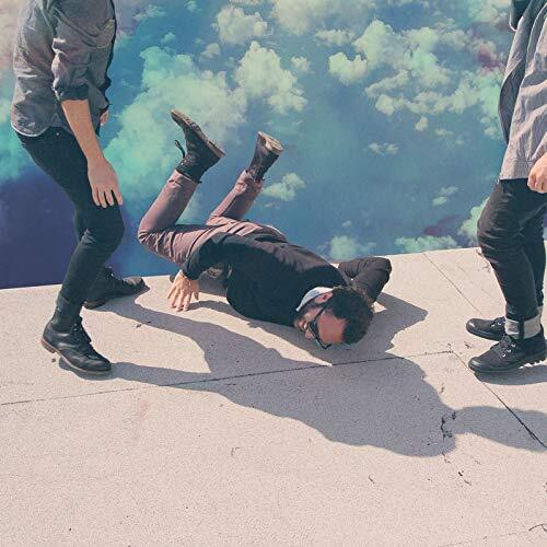 Hummingbird -Local Natives CD