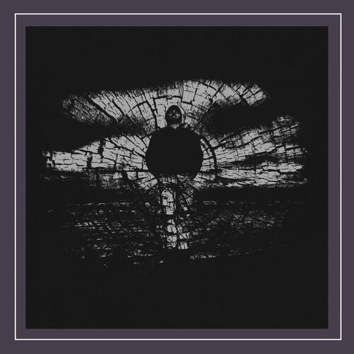 None The Wiser - Chris Wood CD