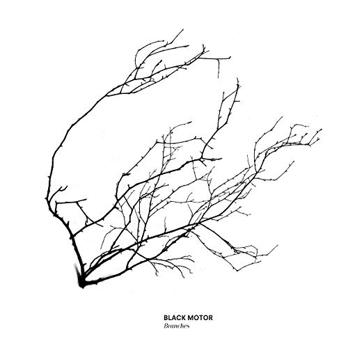 Branches -Black Motor CD
