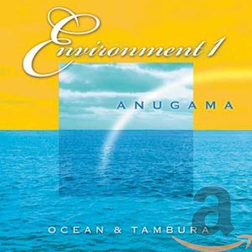 Environment 1 -Anugama CD