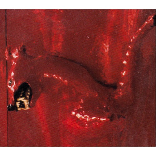 Red Score In Tile -Basinski, William CD