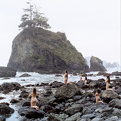 Burn The Land And Boil The Oceans -Principles Of Geometry CD