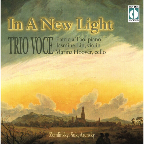 In a New Light - Trio Voce CD