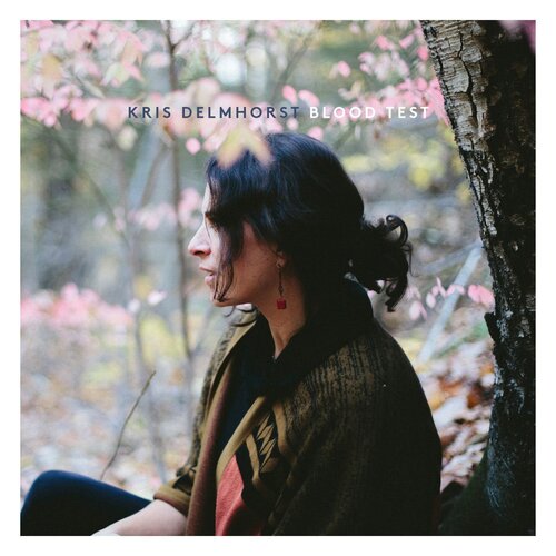 Blood Test - Kris Delmhorst CD