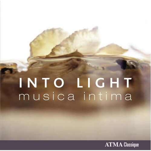 Into Light - VARIOUS ARTISTS CD