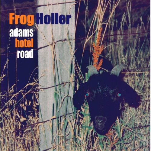 Adams Hotel Road - Frog Holler CD