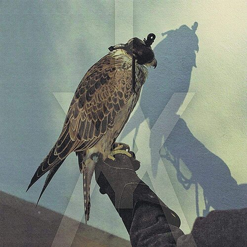 Youre Nothing ICEAGE CD