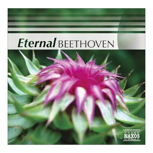 Eternal Beethoven - Ludwig Van Beethoven CD
