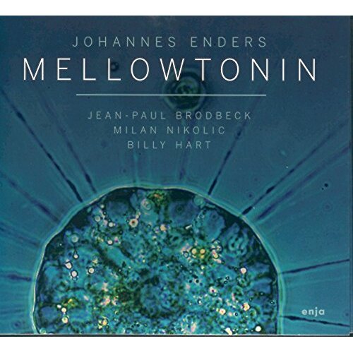 Mellowtonin -Enders Johannes CD