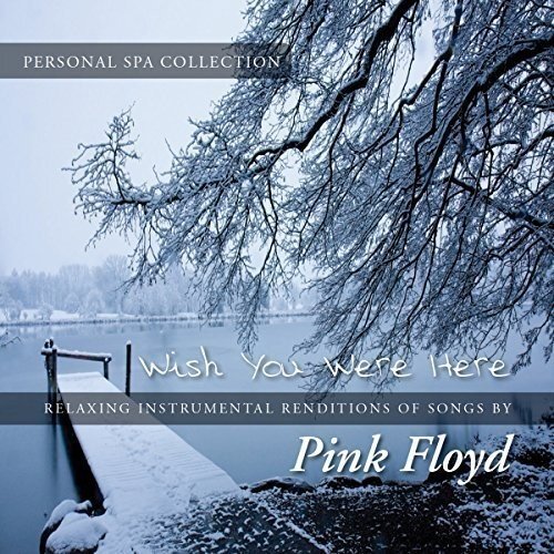 Wish You Were Here -Judson Mancebo CD