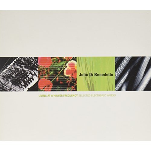 Living At A Higher Frequency -Di Benedetto, Julio CD