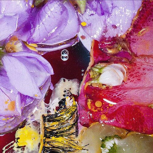 Forward Constant Motion VIRGINIA WING CD