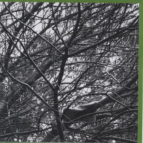 Thin Pillow -Thin Pillow CD