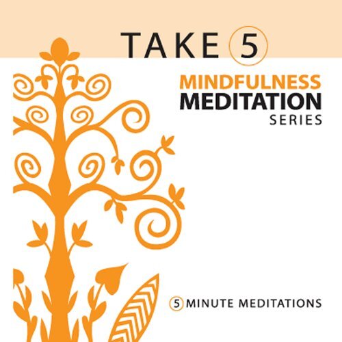 Take 5 Mindfulness Meditation Series: 5-Minute Med -Corinne Zupko CD