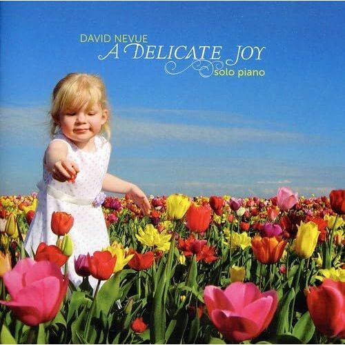 Delicate Joy - David Nevue CD