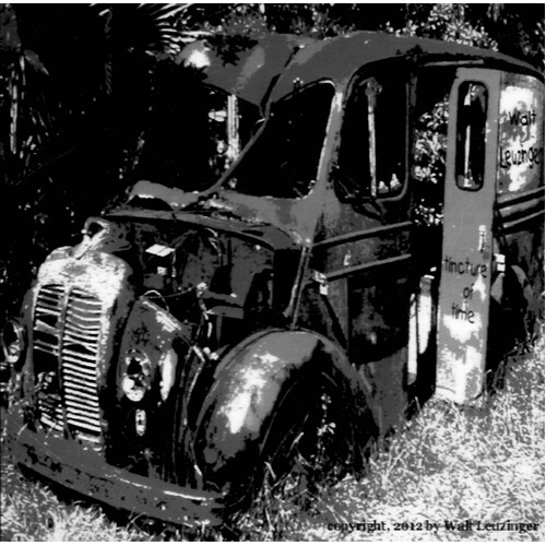Walt Leuzinger - Tricture of Time CD