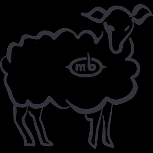 Fluffy: Stating The Obvious Too -Midiboy CD