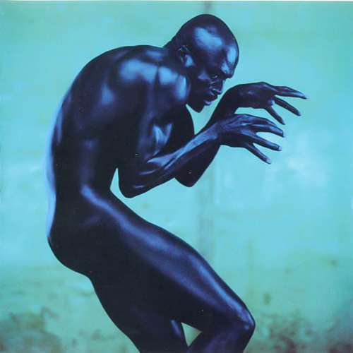Seal ‚Äì Human Being CD