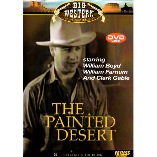 The Painted Desert (, 2002) DVD Preowned: Disc Excellent